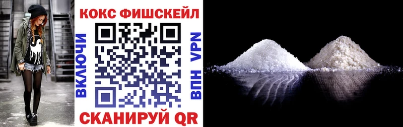 Cocaine FishScale  Купить где  Покровск 