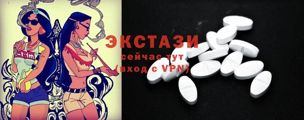 гидра Горняк