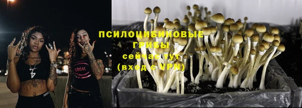 винт Вязники