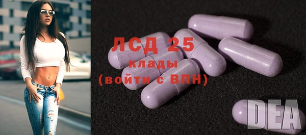 гидра Горняк