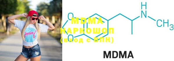 гидра Горняк