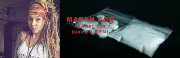 шишки Горнозаводск