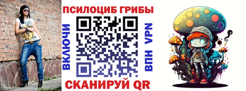 Псилоцибиновые грибы Psilocybe  Купить  Покровск 